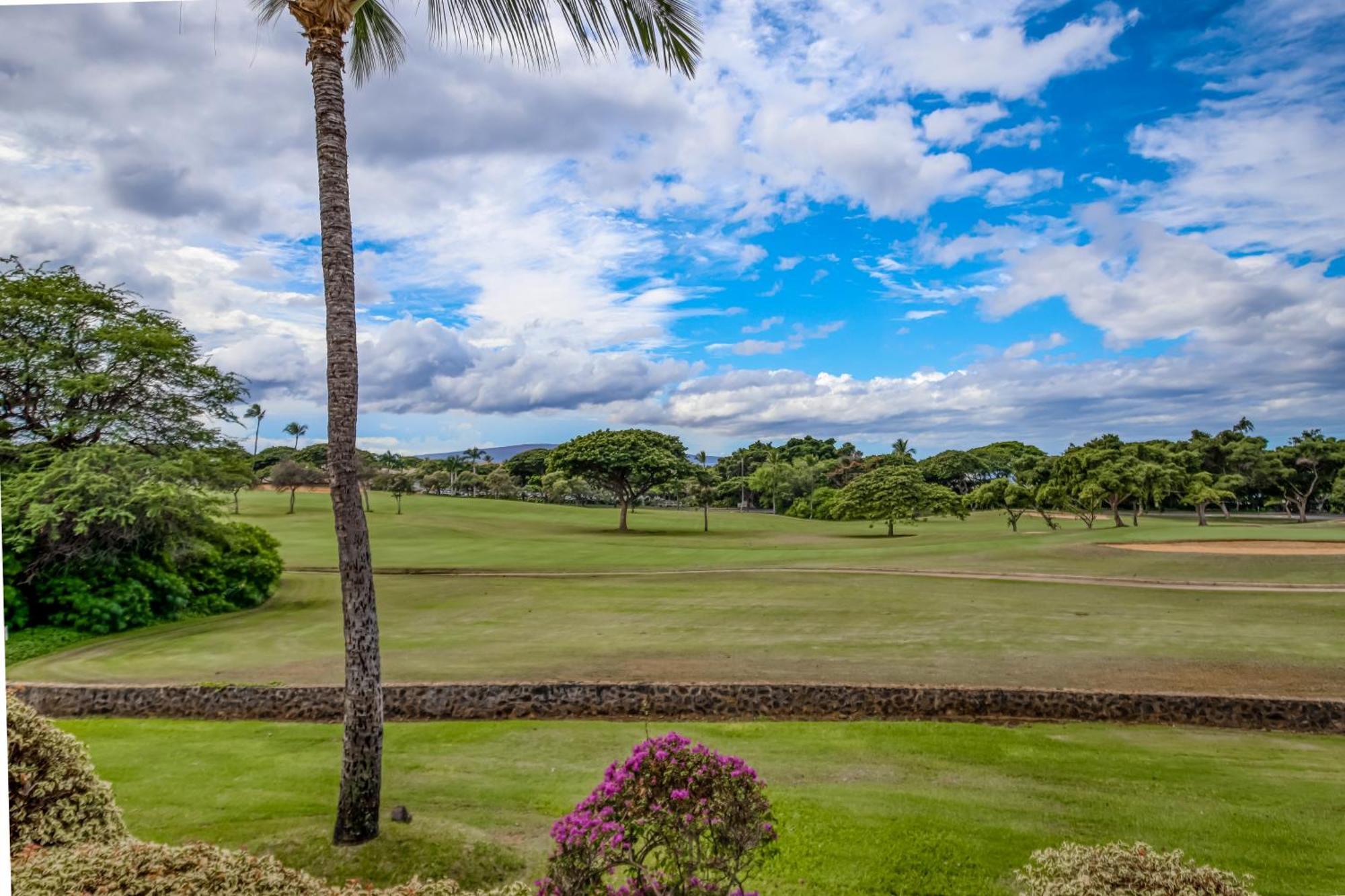 Wailea Grand Champions Villa Ruang foto
